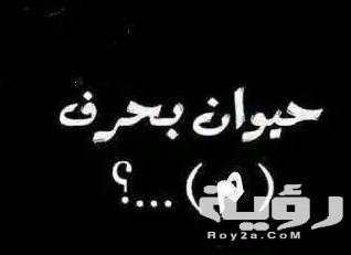 حيوان بحرف الميم