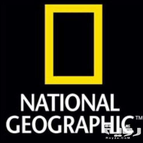 تردد قناة ناشيونال جيوغرافيك National Geographic الجديد 2026 4 شعار ناشينوال جيوغرافيك 2013 05 29 23 22
