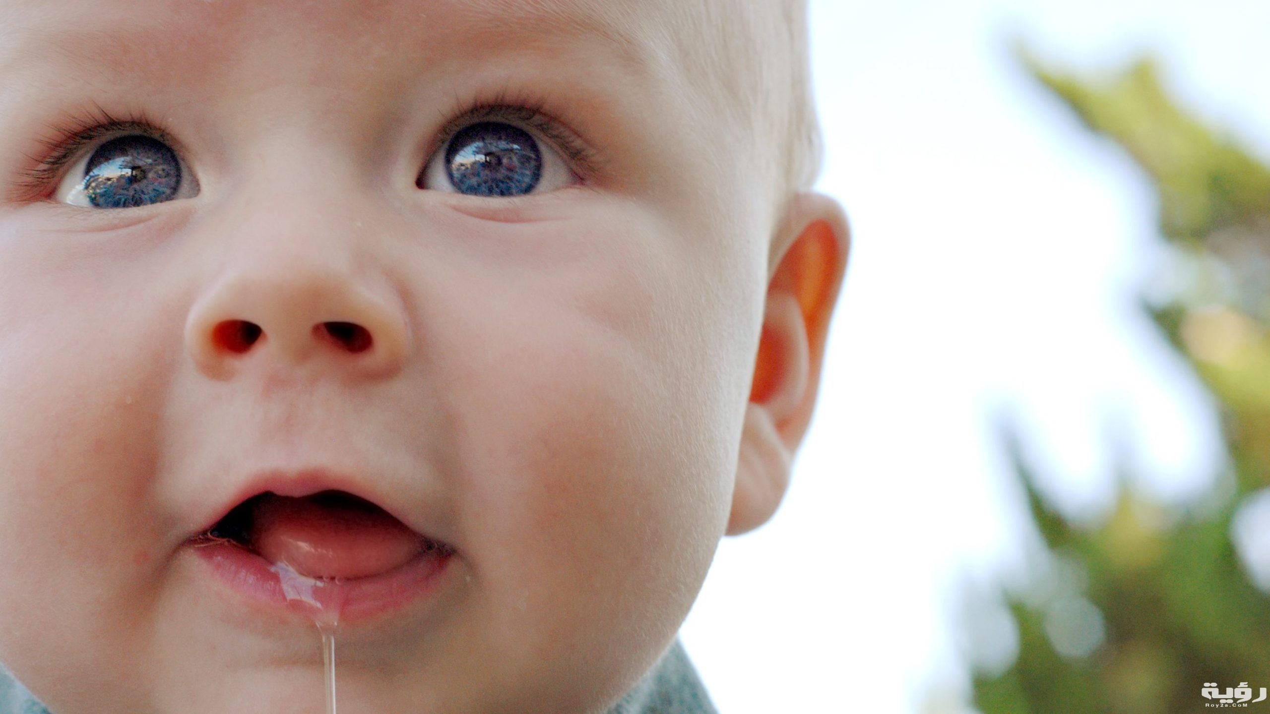 GettyImages 95919157 579a41225f9b589aa927a63c scaled 1