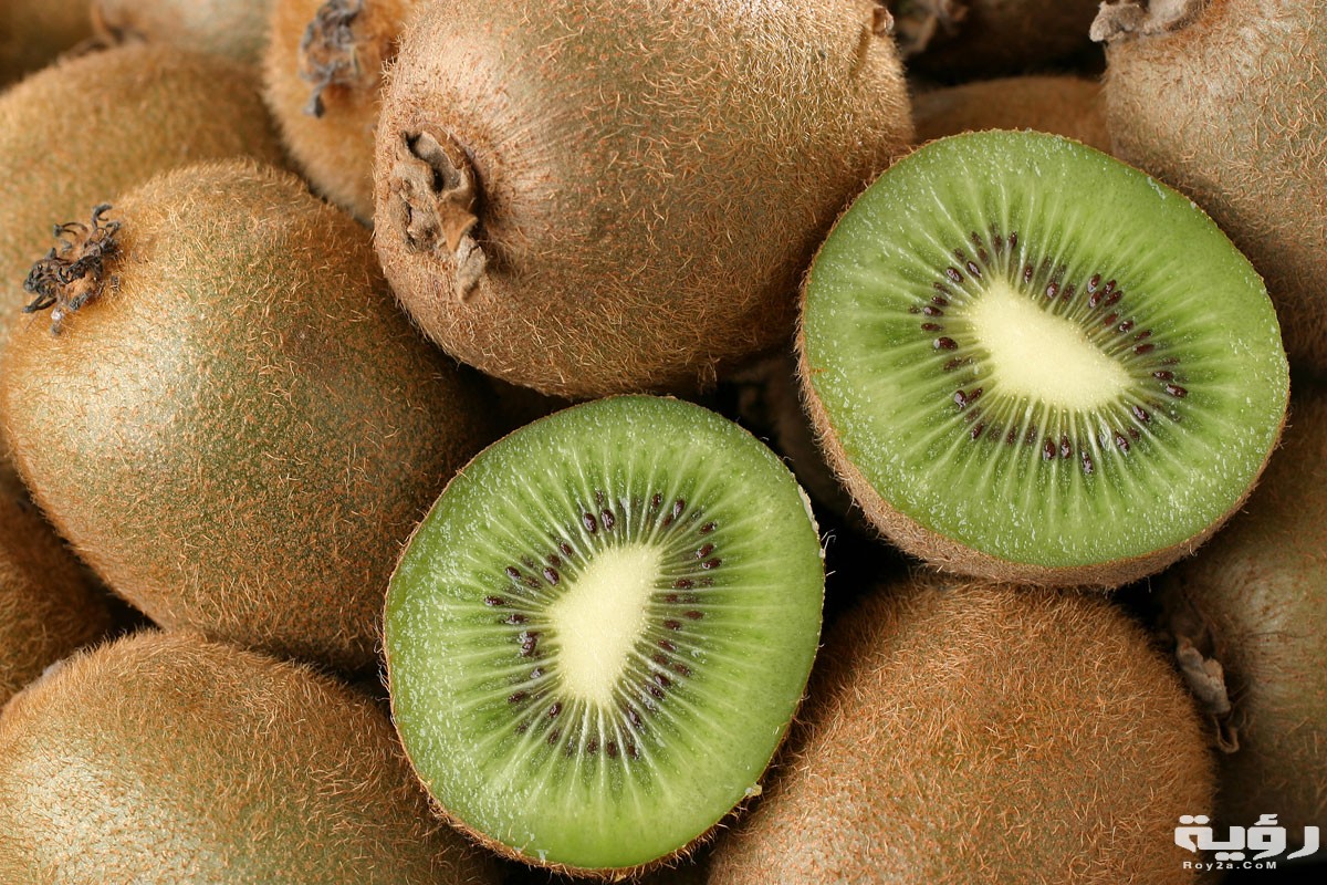 kiwifruit 1200