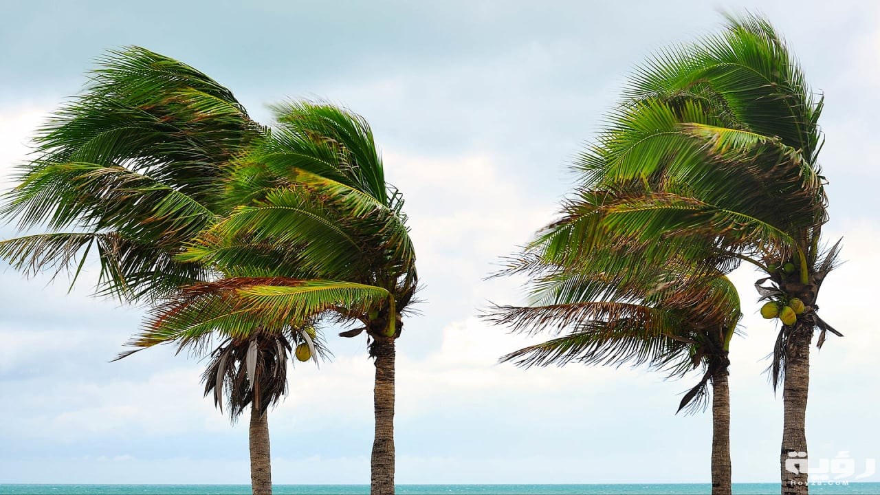 الرياح في المنام 1