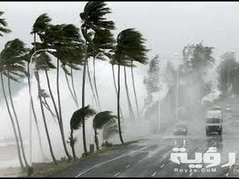 الرياح في المنام