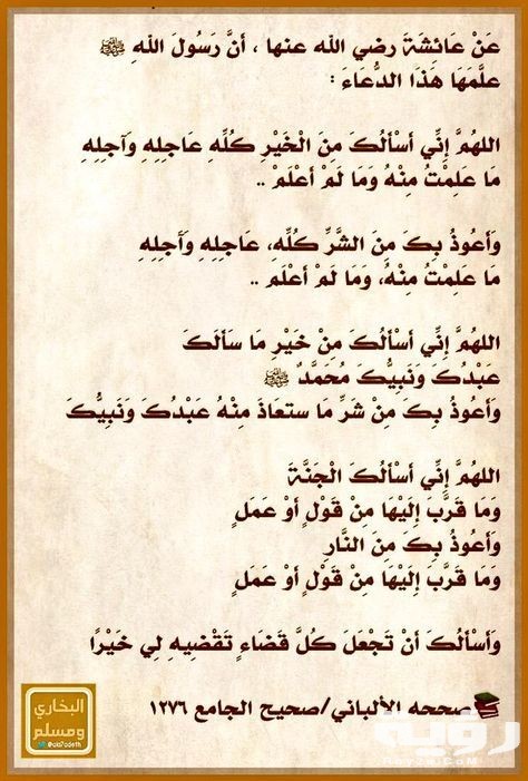 16ef8c81136c72e93efacd5a1156d849