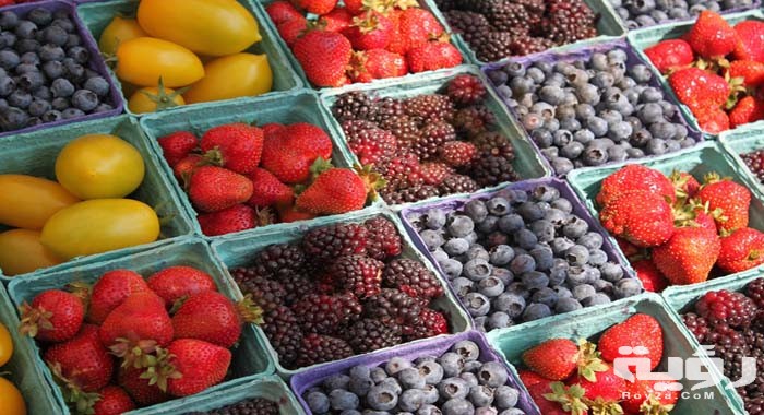 تفسير رؤية الفكهاني