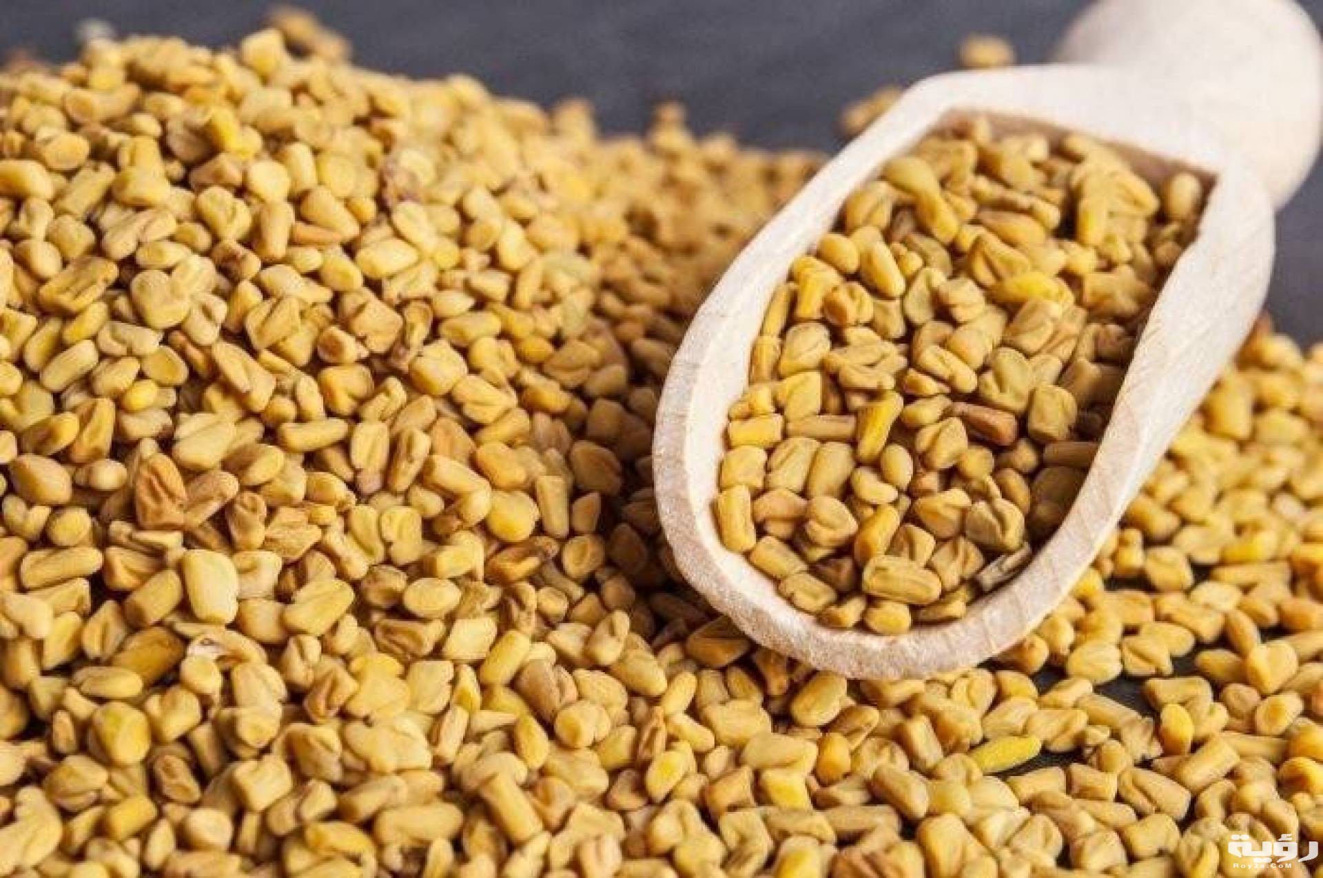 فوائد الحلبة للشعر