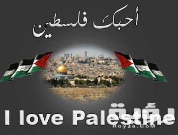 C4247052 E612 4627 8519 E10DE1F4651F