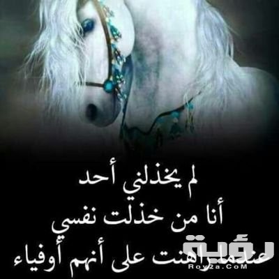 CDFCCD8C A139 4968 8635 2D224AE680DD