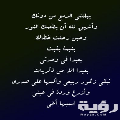 6EF4653E E138 4517 B7DC C071B0B82852