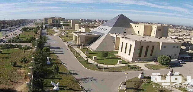 CCA195E7 1A31 4F8E 89AE 75A19848DA1D