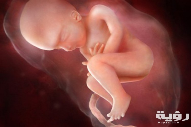 تفسير حلم تحرك الجنين في البطن