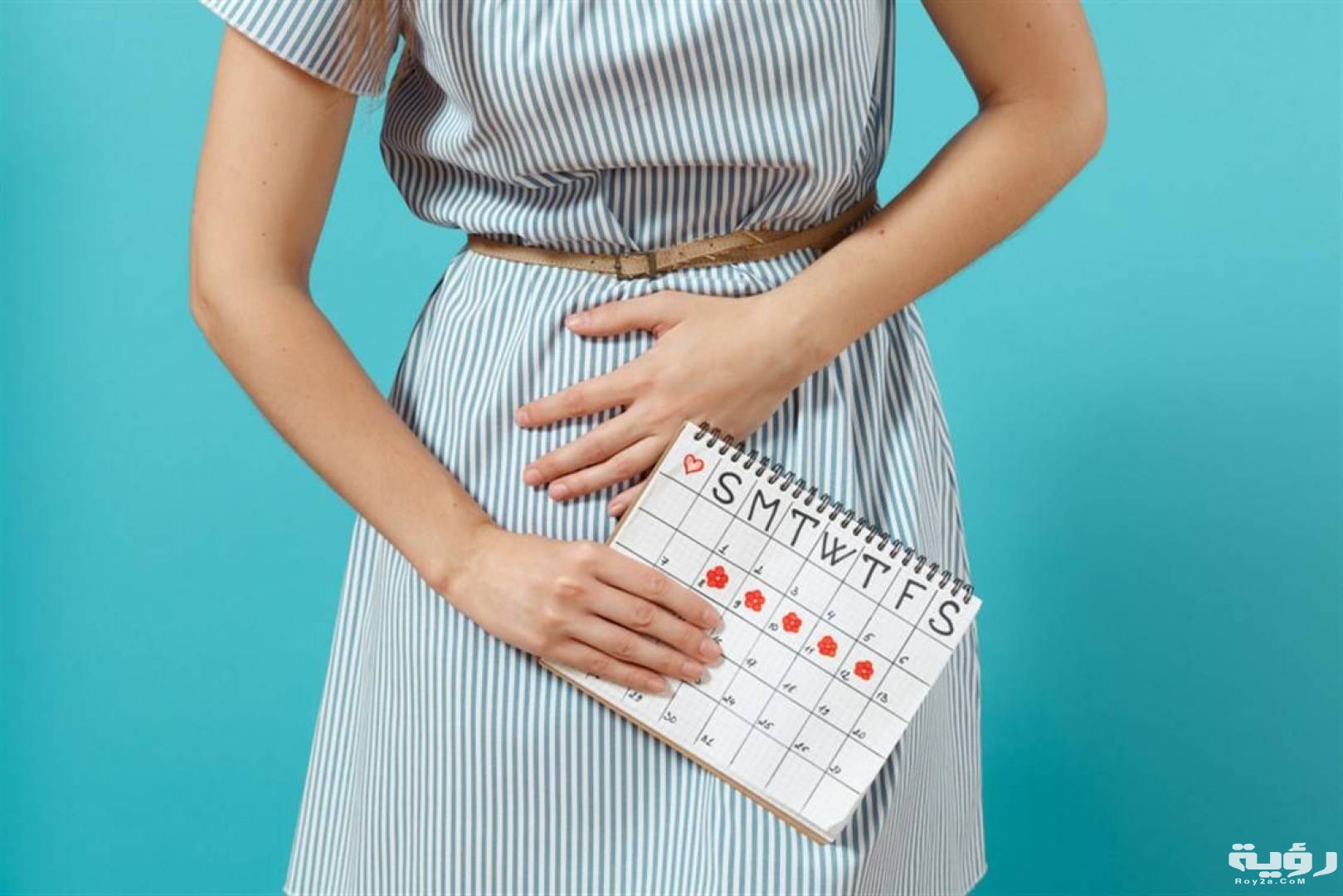 200610052642421 shutterstock 1150619087 261208 highres