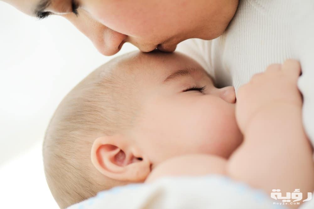 تفسير حلم 16