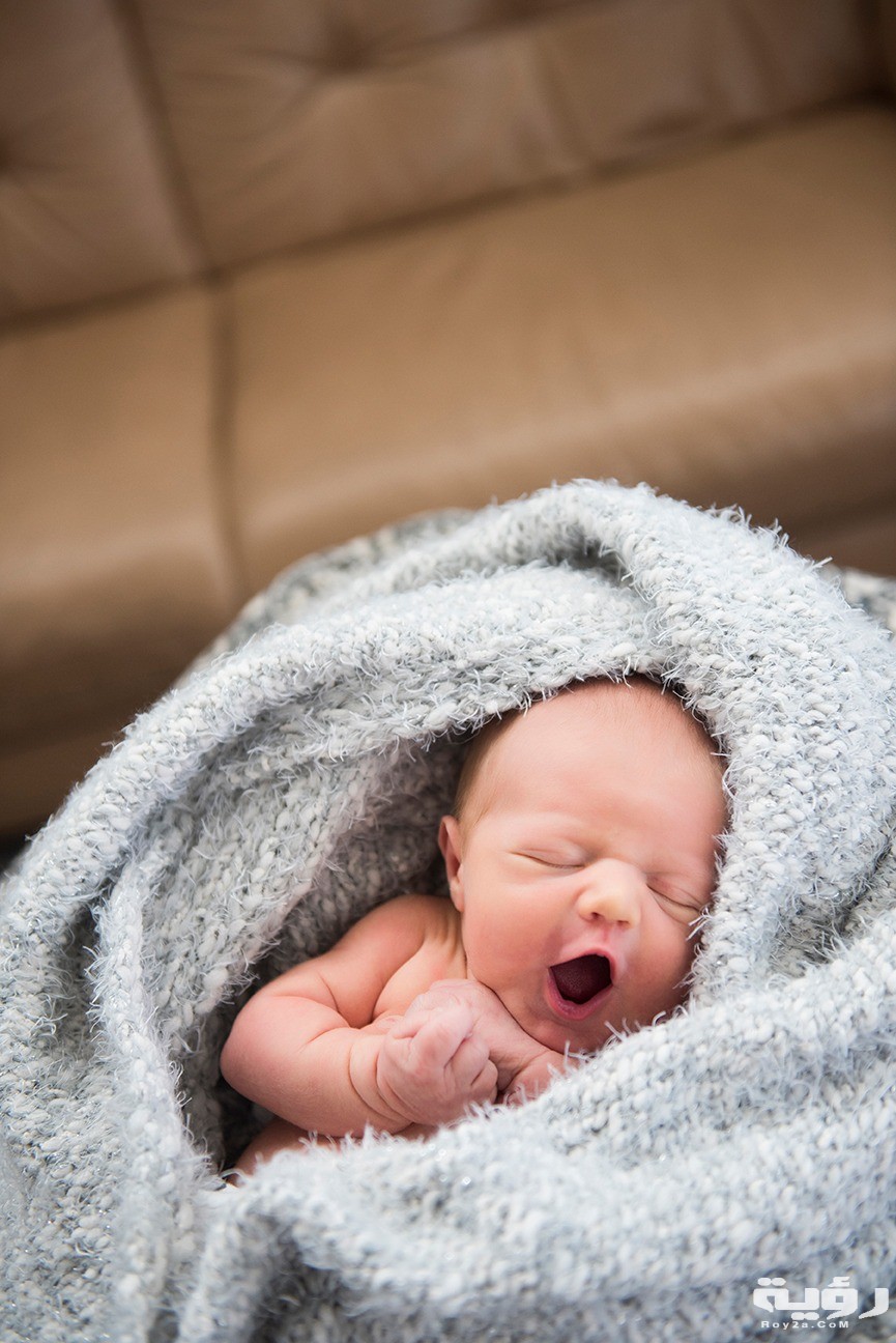 0003 elijah newborn photography by jacquelynn