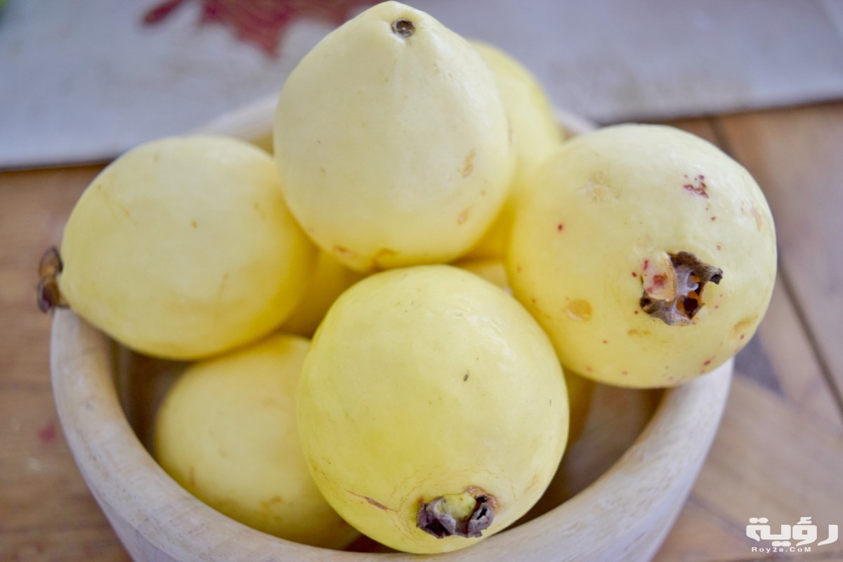 173 180826 guava treasure trove benefits 3