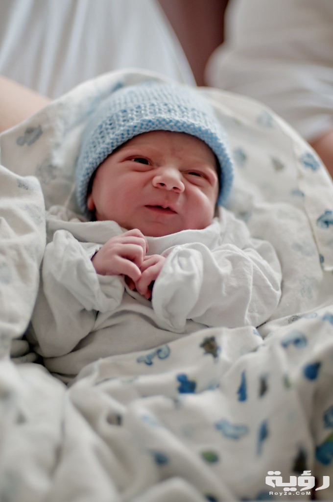 اسماء اولاد بحرف ذ الذال ومعانيها 2026 1 5163708933 1067bd7996 b