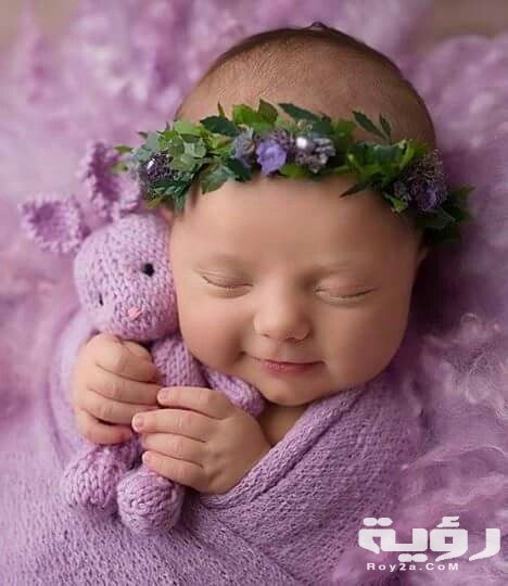 d4c93d1d1fe6288c89971dbbd9bf2de9