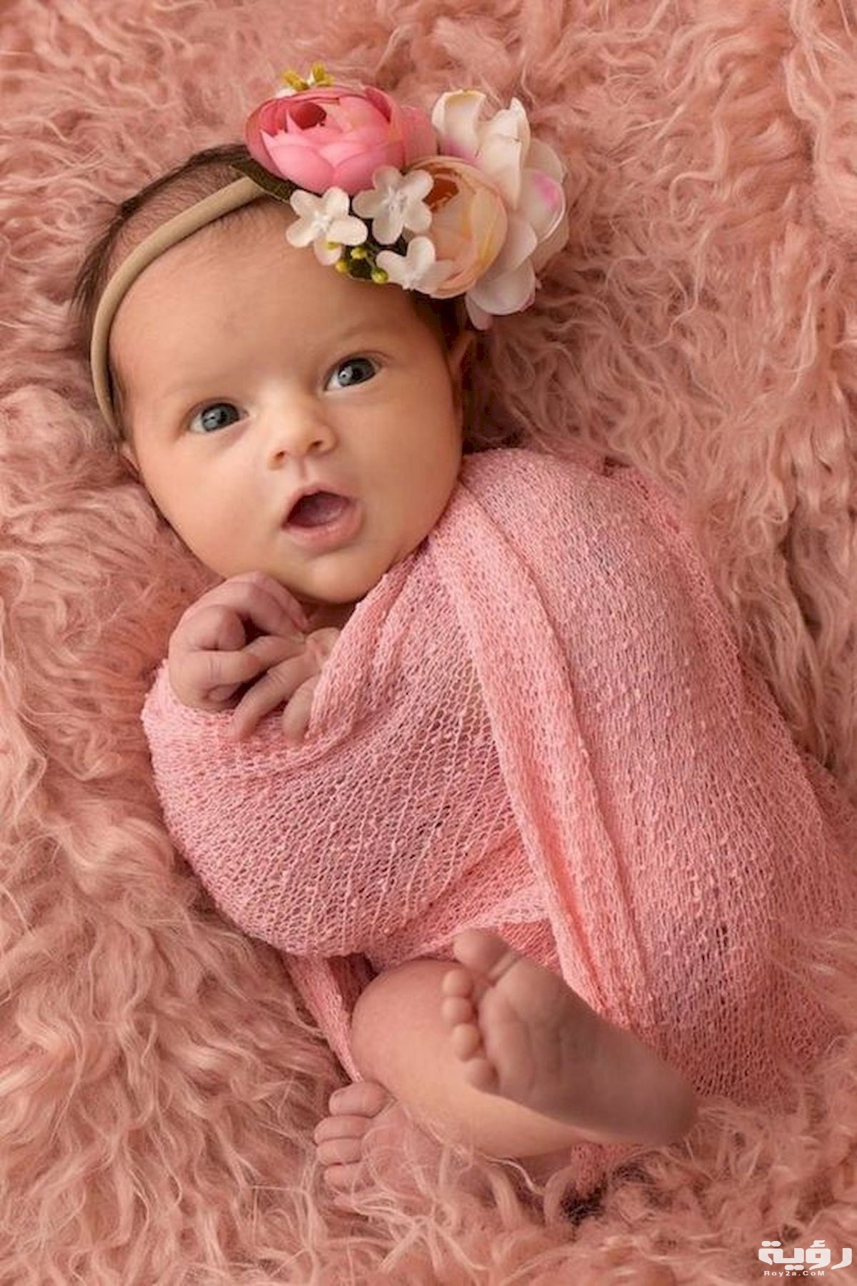 dea7b896bab00013bf6d7cfcea3559d6