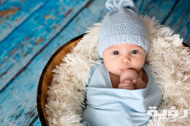 istockphoto 1076901760 612x612 1