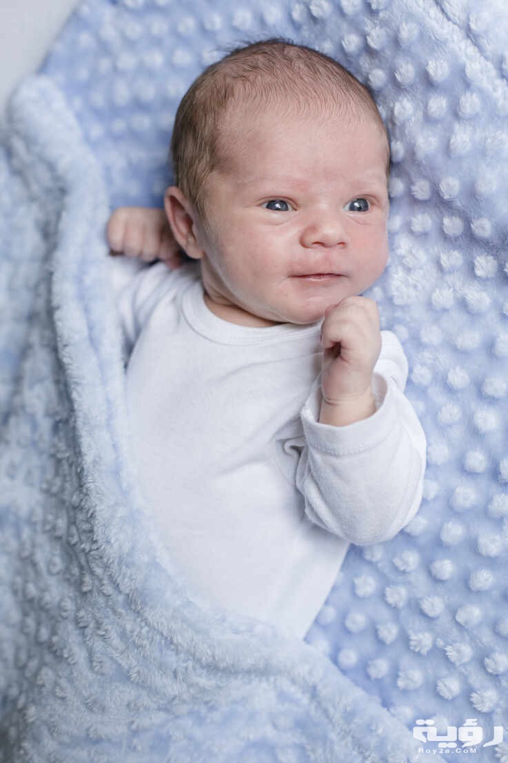 portrait of a newborn baby boy lying on a blanket STBF00369