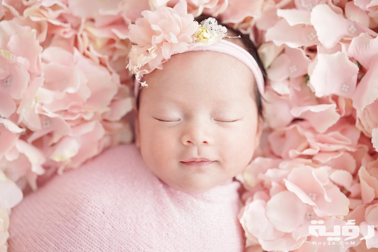 shutterstock 1969951021