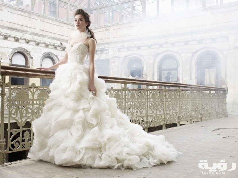 حلمت اني عروسه ولابسه فستان ابيض 1 حلمت أنى لابسه فستان زفاف ابيض وانا عزباء 1