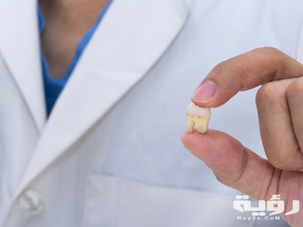 حلمت اني خلعت ضرسي بيدي بدون ألم 2 حلمت أني خلعت ضرسي بيدي بدون ألم