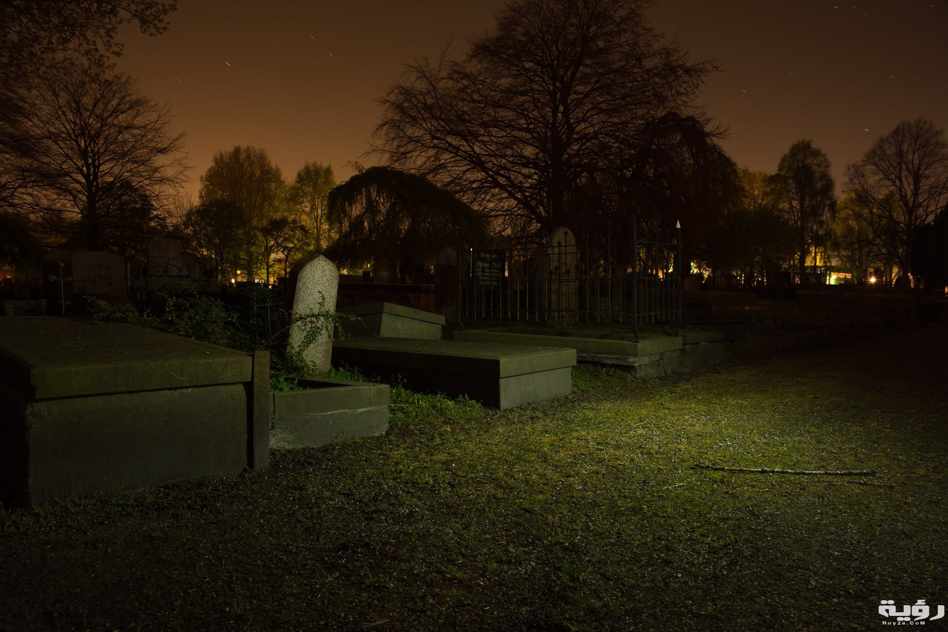 حلمت اني مشيت مع ميت 3 رؤية الميت في المنام