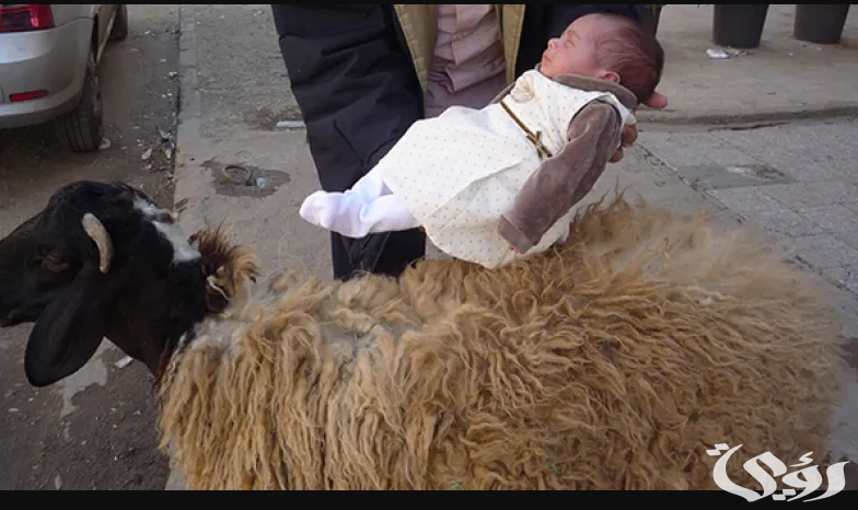 أشهر 13 تفسير حلم رؤية العقيقة في المنام 3 تفسير حلم العقيقة