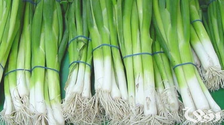 تفسير رؤية البصل الأخضر