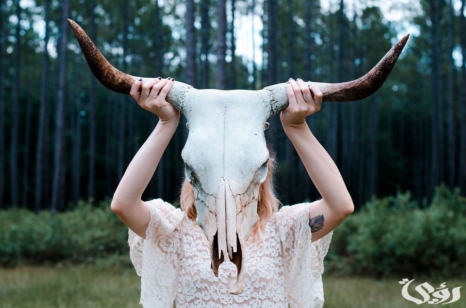 أشهر 12 تفسير حلم رؤية إنسان على شكل حيوان في المنام 5 تفسير حلم إنسان على شكل حيوان