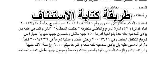 نموذج صحيفة استئناف