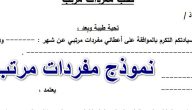 نموذج مفردات مرتب جاهز