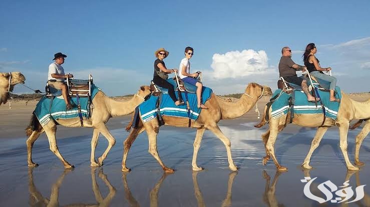 D9E03EAC D083 489A 89D4 8E1865BEA1D0