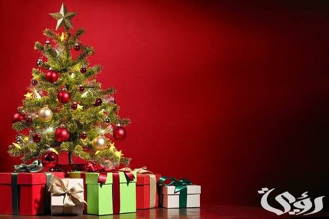 images 2022 12 25T182224.825