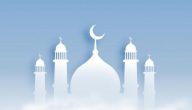 بحث عن سيدنا يوسف