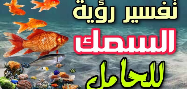 تفسير حلم أكل السمك للحامل