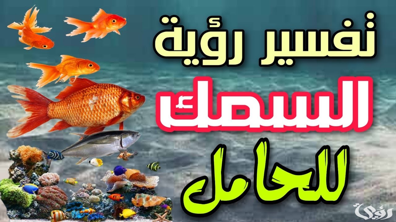 ما تفسير حلم رؤية أكل السمك للحامل 4 تفسير حلم أكل السمك للحامل