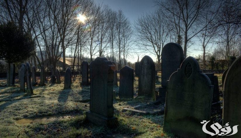 تفسير حلم شخص حي مات ثم عاد للحياة