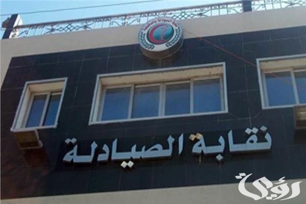 نموذج صحة 13