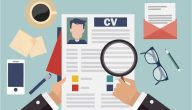 نموذج cv حديث التخرج بالانجليزي