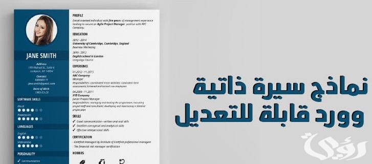 نموذج cv عربي جاهز للتعديل 3 نموذج cv عربي