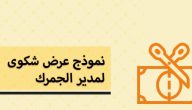 نموذج 13 جمارك جاهز