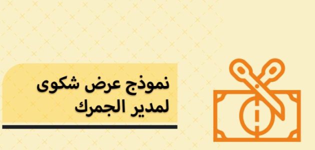 نموذج 13 جمارك