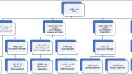 نموذج هيكل تنظيمي جاهز