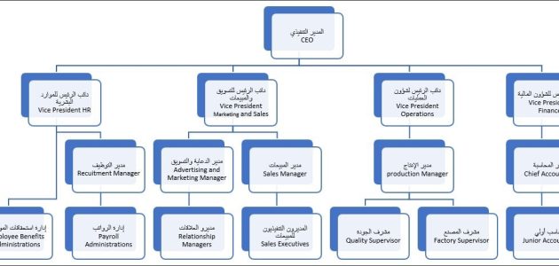 نموذج هيكل تنظيمي