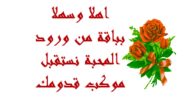 ما هو الرد على حللت أهلاً ونزلت سهلاً