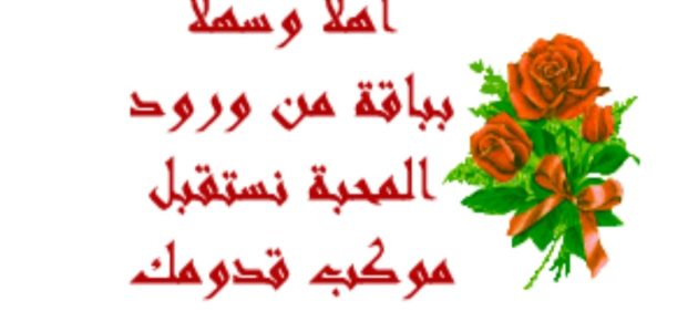 Screenshot ٢٠٢٣٠١٠٨ ٢٢١٦٠٥ Gallery