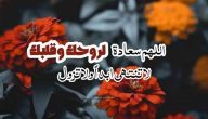 ما هو الرد على كلمات جميلة