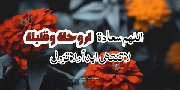 images 2023 01 02T220031.770