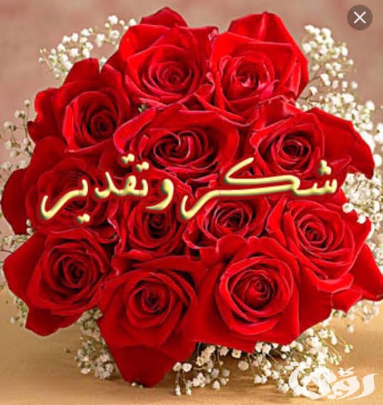 images 2023 01 05T193803.127